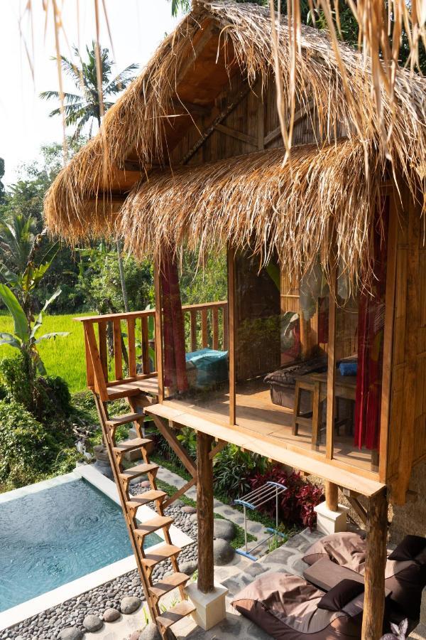 Bali Bamboo Jungle Huts And Hostel Tampaksiring Zewnętrze zdjęcie