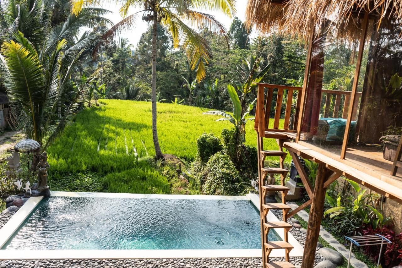 Bali Bamboo Jungle Huts And Hostel Tampaksiring Zewnętrze zdjęcie
