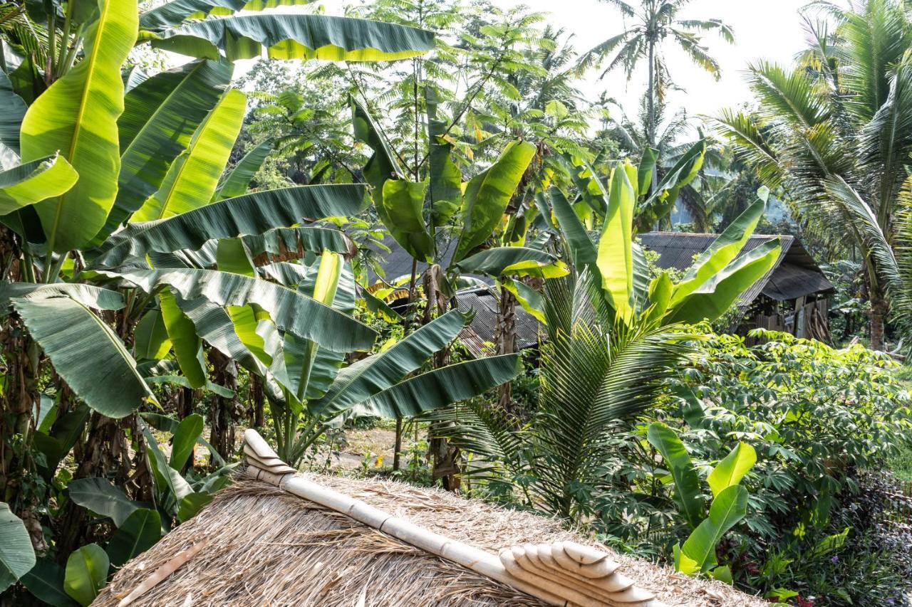 Bali Bamboo Jungle Huts And Hostel Tampaksiring Zewnętrze zdjęcie
