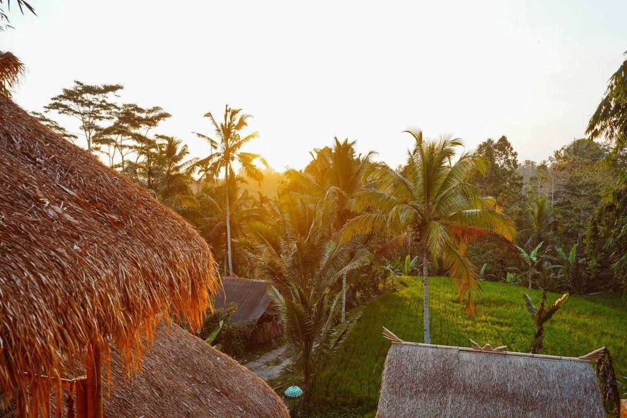 Bali Bamboo Jungle Huts And Hostel Tampaksiring Zewnętrze zdjęcie