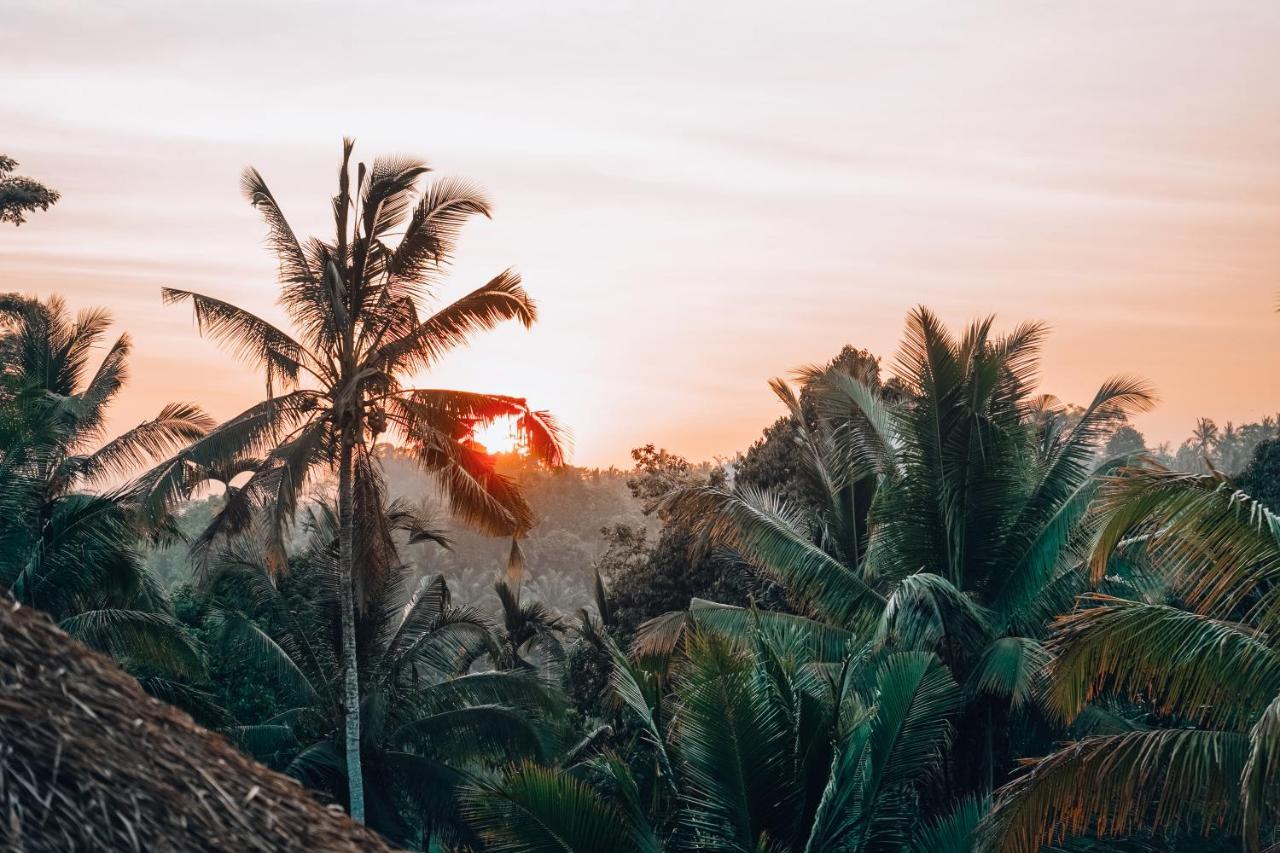 Bali Bamboo Jungle Huts And Hostel Tampaksiring Zewnętrze zdjęcie